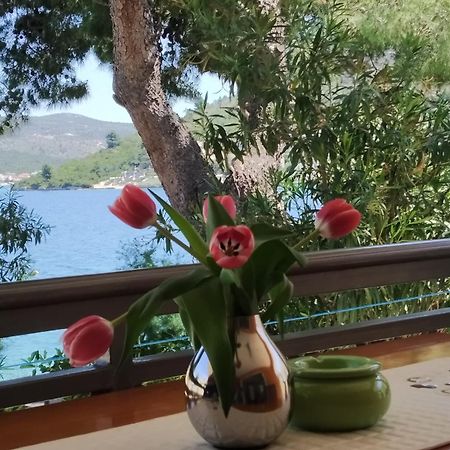 Holiday Home Milenka Рогозниця Екстер'єр фото